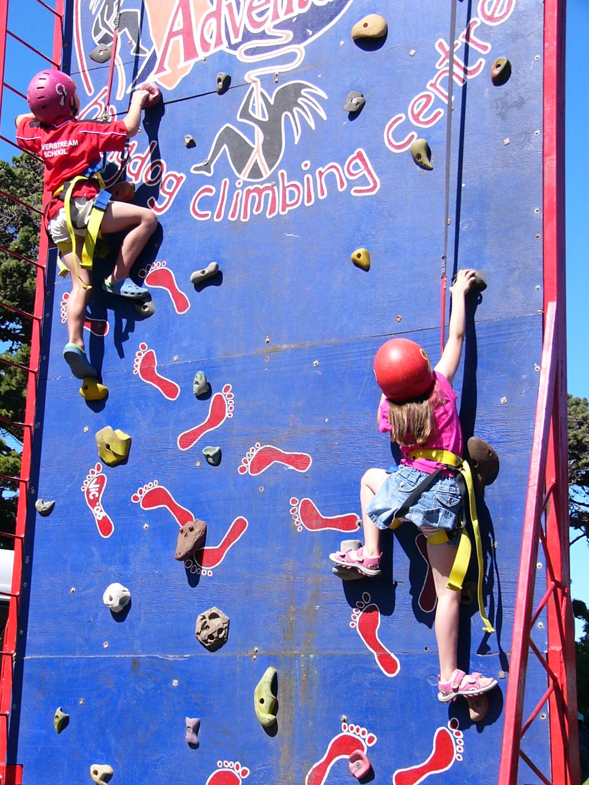 Rock Wall Climbing The of New Zealand
