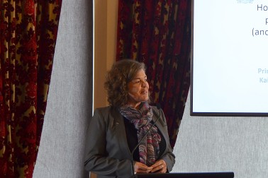 Image of Professor Juliet Gerrard, Chief Science Adviser to the Prime Minister