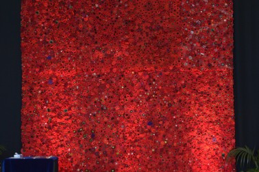 Image of the stunning backdrop of fabric poppies 