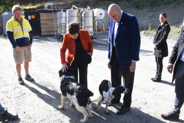 Image of Dame Patsy and Sir David being greeted by dogs, Monty and Poppy