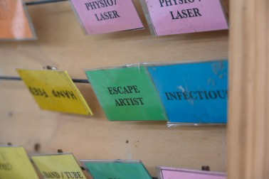 Some of the identifying labels placed on the birds' pens