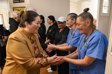 Dame Cindy meeting hospital staff