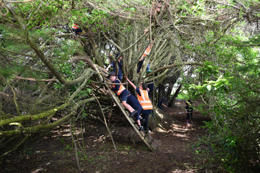 Adventure playground - Te One School style