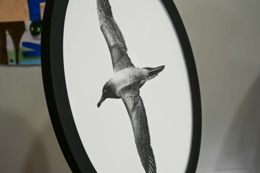 The beautiful albatross etching awarded to the Supreme Award recipient