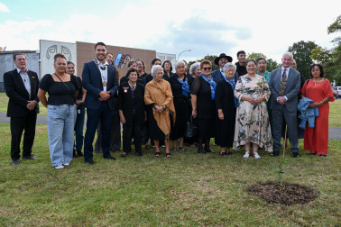 Planting a pōhutukawa 