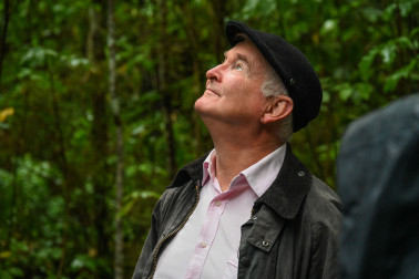 Dr Davies looking out for avian activity in the Brook Waimārama Sanctuary