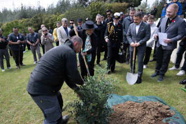 Dame Cindy planting a pōhutukawa at the No. 2 Outpost Cemetery