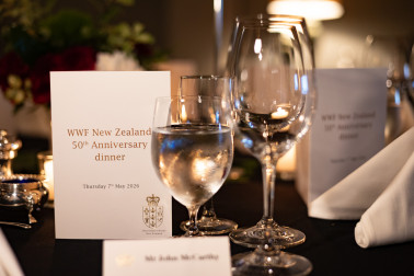 The place-settings for the evening