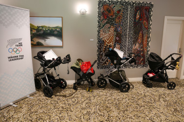Buggy parking