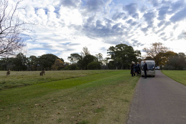 Their Excellencies enjoy a tour of the Government House grounds