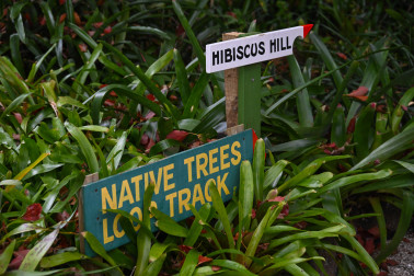 Signage nestled into the beautiful gardens