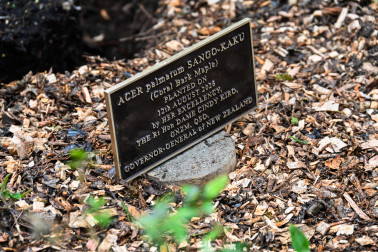 The commemorative plaque for Dame Cindy's new tree