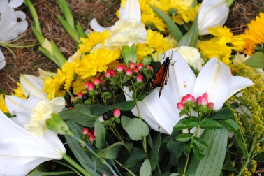 A Monarch Butterfly rests on a floral tribute.