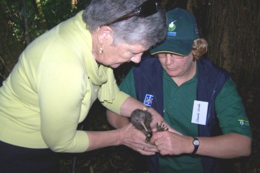 Kiwi creche.