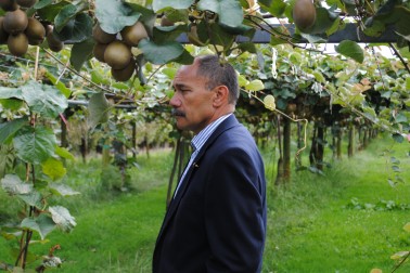Visit to Trinity Lands Trust Kiwifruit Orchard.