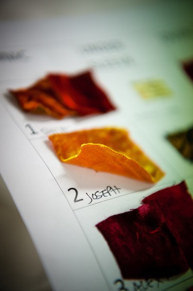 Image of fabric samples used for the RNZB production of Romeo and Juliet