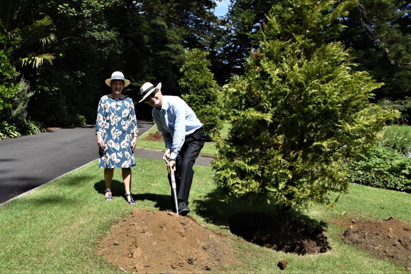 an image of Retiring Grounds Committee member Sir Rob Fenwick planting a kawaka