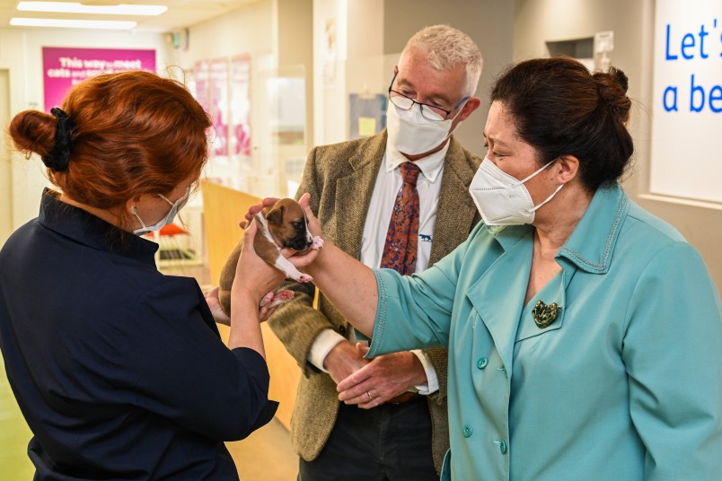 Dame Cindy and Dr Davies meet Collie, one of the newest additions to the centre