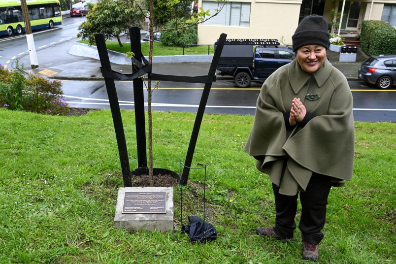 Dame Cindy unveils the plaque at Queen's Park