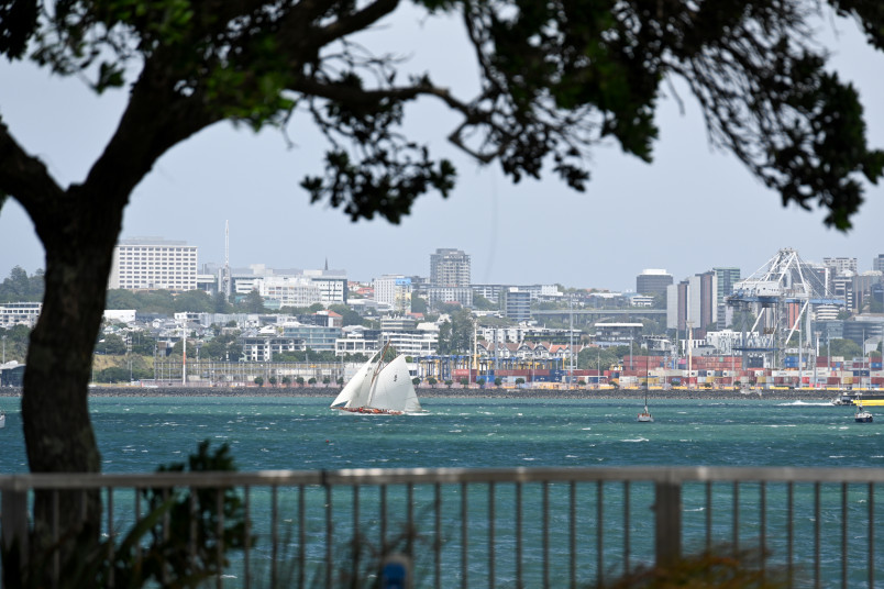 Racing in the harbour