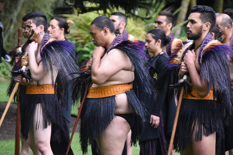 Image of warriors from the NZDF cultural party