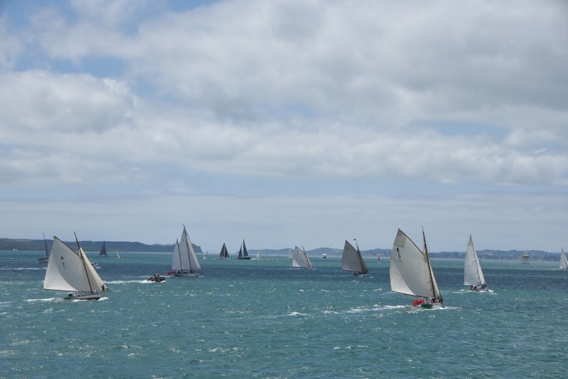 an image of Yachts taking part in the Auckland Anniversary Day Regatta
