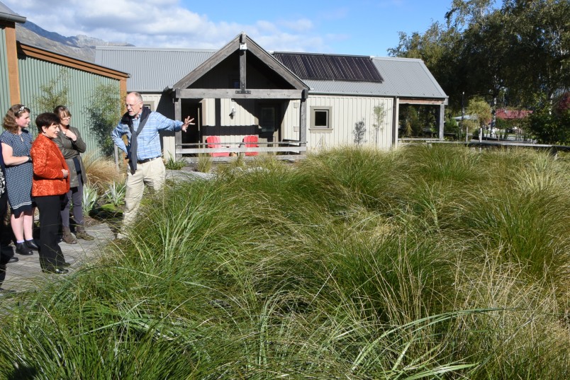 Image of the wetlands used to treat greywater
