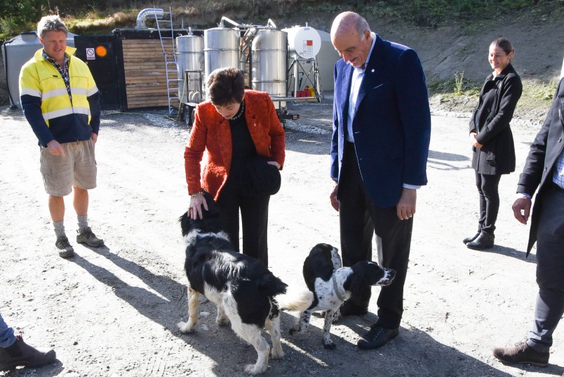 Image of Dame Patsy and Sir David being greeted by dogs, Monty and Poppy