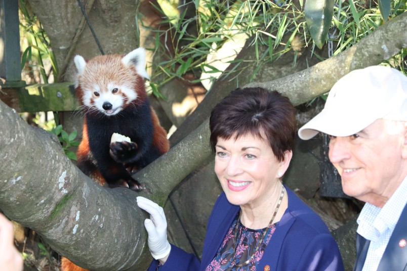 Image of Dame Patsy with a red panda