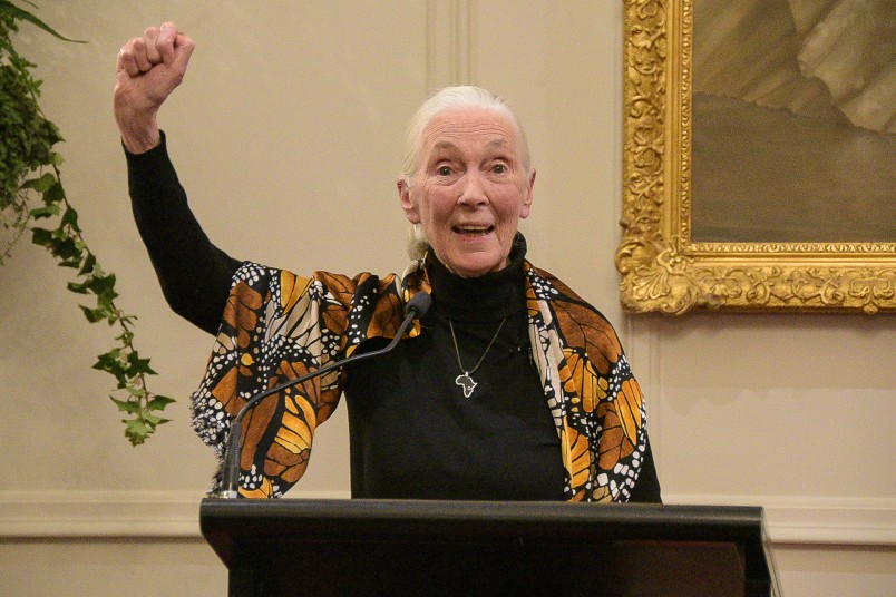 Image of Dr Jane Goodall speaking