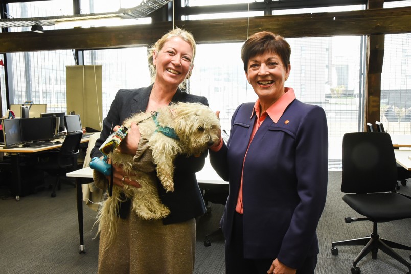 Dame Patsy in the Start-up space, confirming that it is a dog-friendly environment
