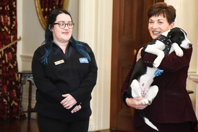 Image of Dame Patsy with Coco and SPCA staff member Letitia Bullot