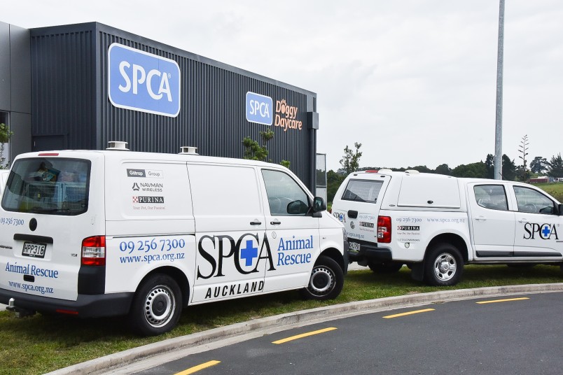 SPCA Hobsonville, the first ever purpose-built SPCA facility