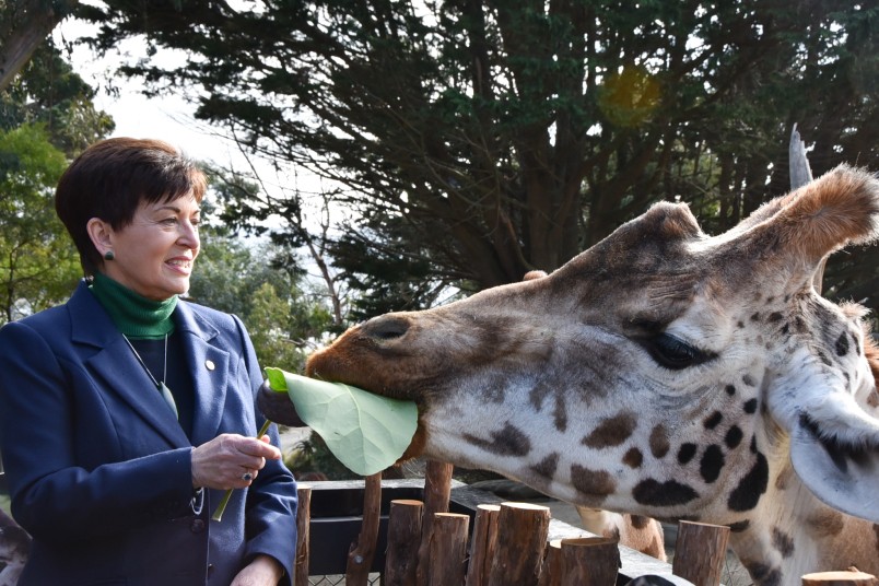 Dame Patsy Reddy feeding a giraffe 