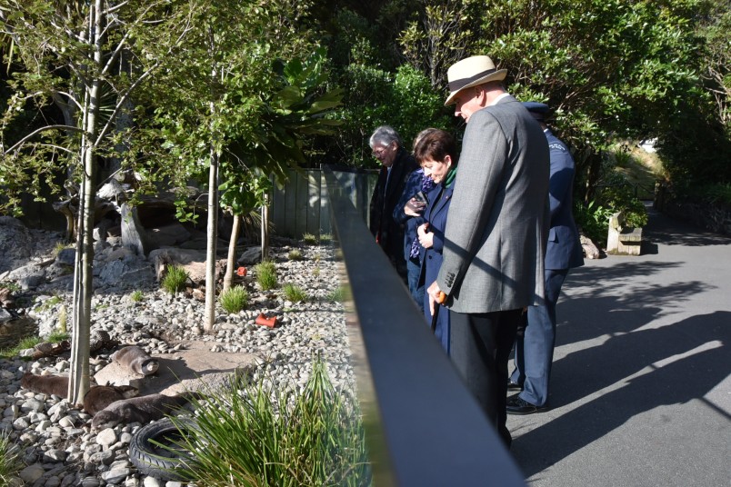 Dame Patsy Reddy and Sir David Gascoigne looking at otters