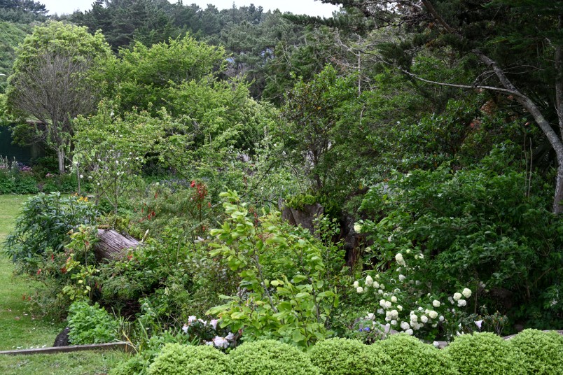 A view of some of Halfway House's gardens