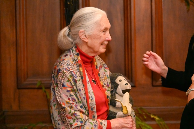 Dr Jane Goodall with her stuffed toy travelling companion Mr H