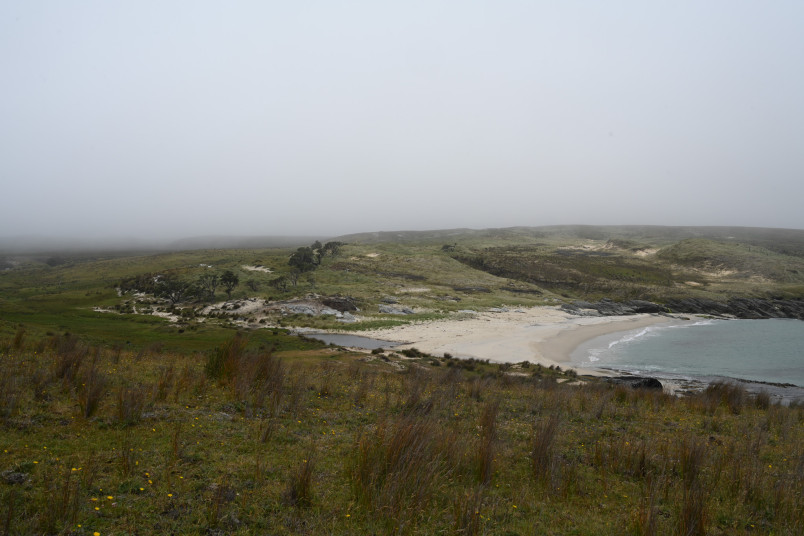 Ohira Bay, Rekohu Chatham Islands