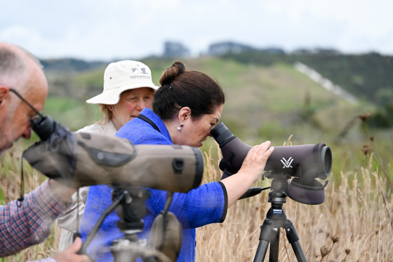 Birdwatching in Pūkorokoro 