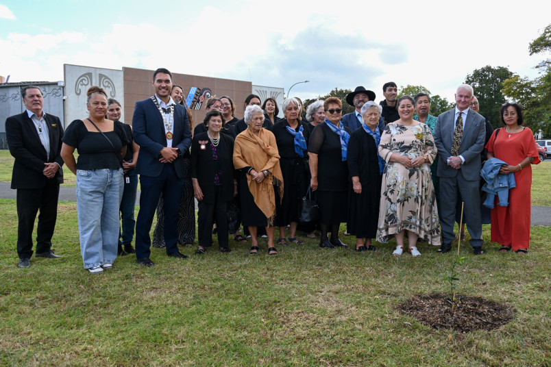 Planting a pōhutukawa 