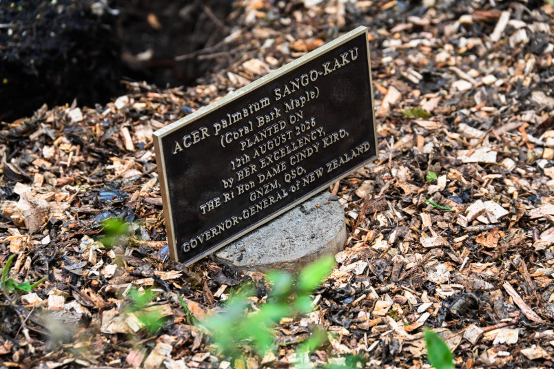 The commemorative plaque for Dame Cindy's new tree
