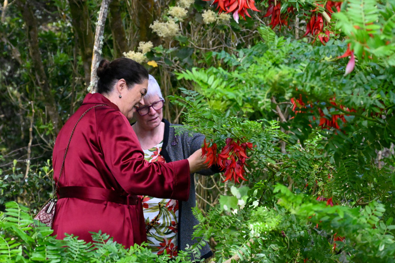 Dame Cindy and Dr Carol West admire the kākābeak