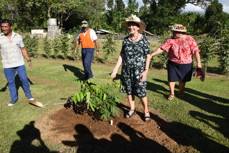The Governor-General, The Rt Hon Dame Patsy Reddy planting a longan tree.