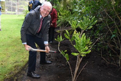 Image of Auckland Mayor Phil Goff planting a tree