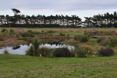 an image of A new wetland created by Ngati Moki at Taumutu