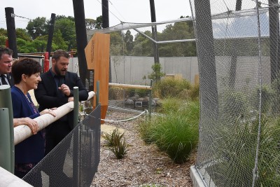 Image of Dame Patsy examining the enclosures for the endangered whio (blue duck)