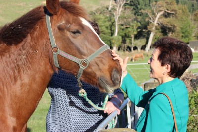 Image of Dame Patsy patting one of the horses at WRDA