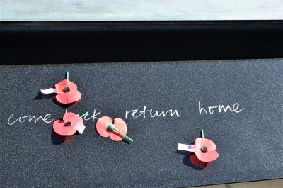 Poppies on the Tomb of the Unknown Warrior