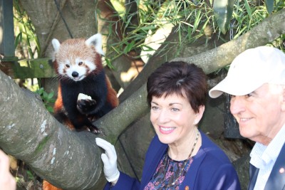 Image of Dame Patsy with a red panda