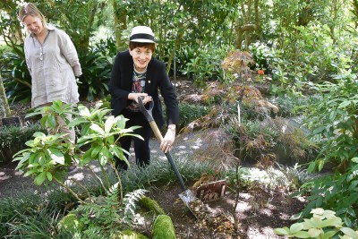 Image of Dame Patsy planting a tree - a crimson Weeping Maple